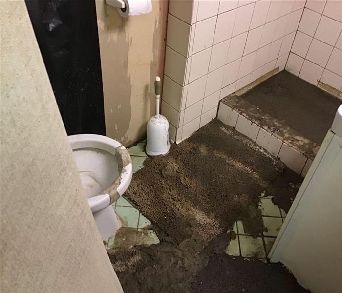 Sewage back up through shower in Dundalk Basement, Dundalk MD