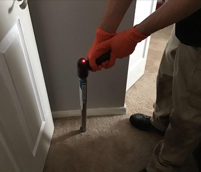 SERVPRO of Sparrows Poing Water damage specialist, testing the carpet for moisture using a moisture reading device, Essex, MD
